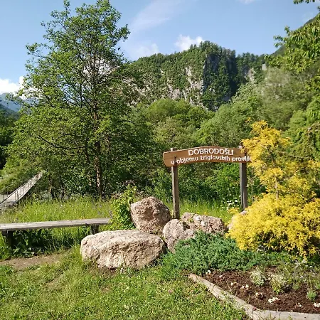 Gorski Biser Nastanitev v družini Mojstrana